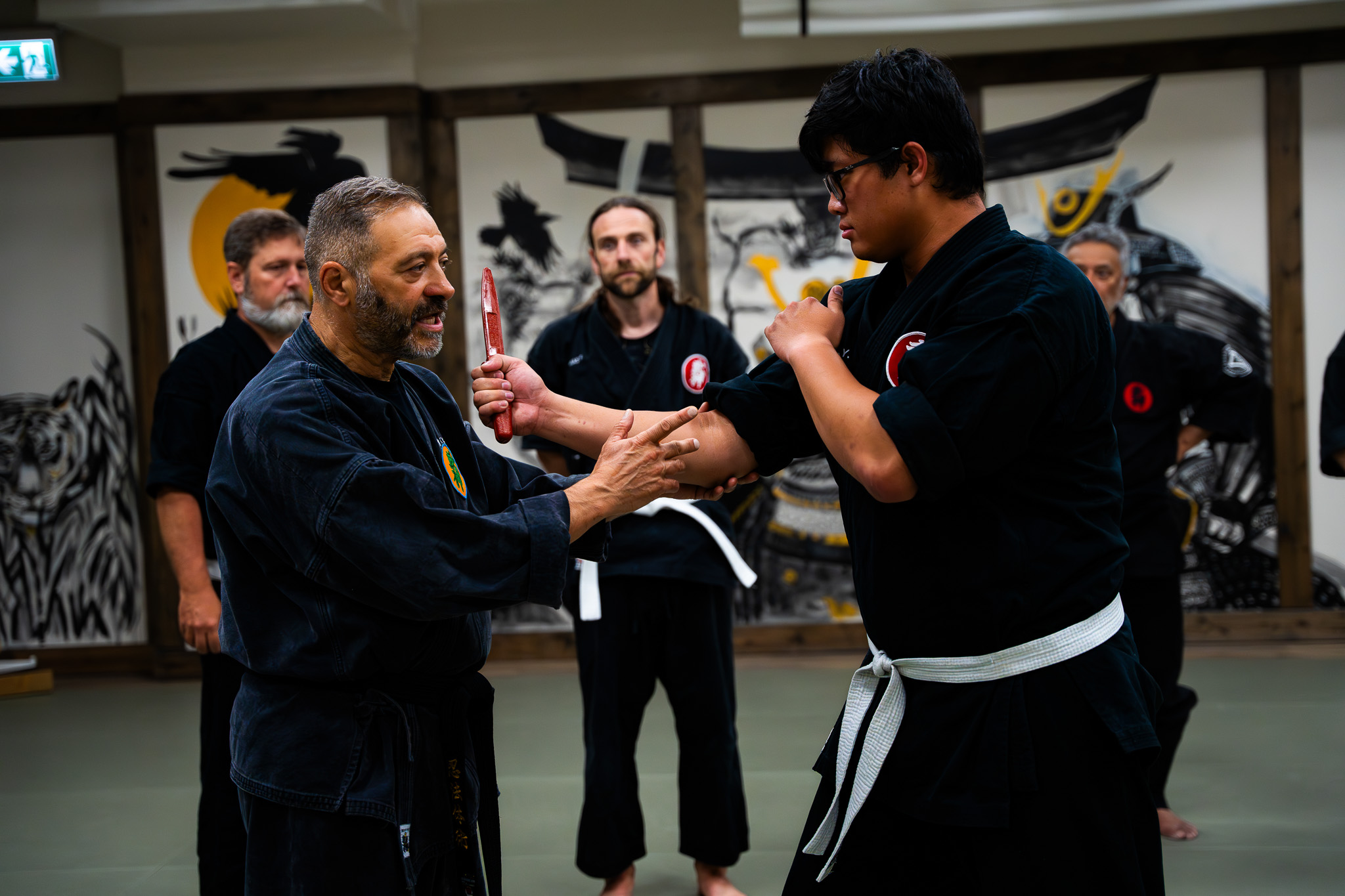 sensai teaching class